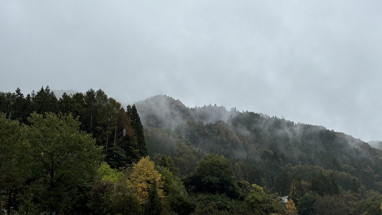 しっかり雨が降っています。