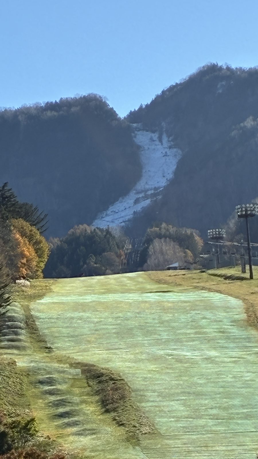 初冠雪です。